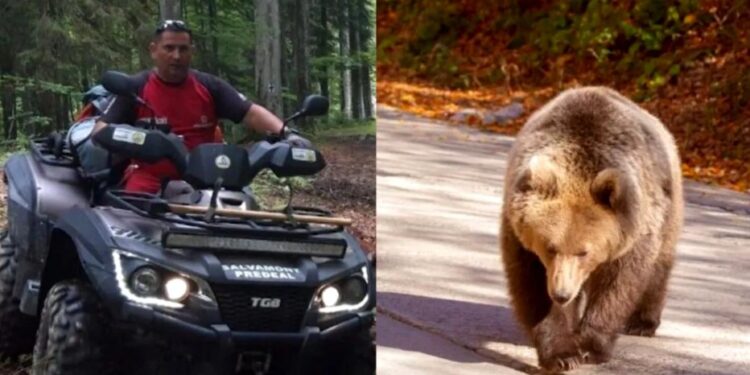 На горнолыжном курорте в Румынии медведь напал на мужчину: пострадавший находится в тяжелом состоянии