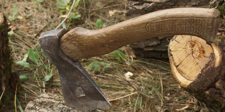 Нападение с топором в лесу Флорештского района: преступник был пьян