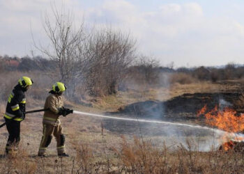 Incendii de vegetație în Republica Moldova: Peste 400 de hectare afectate