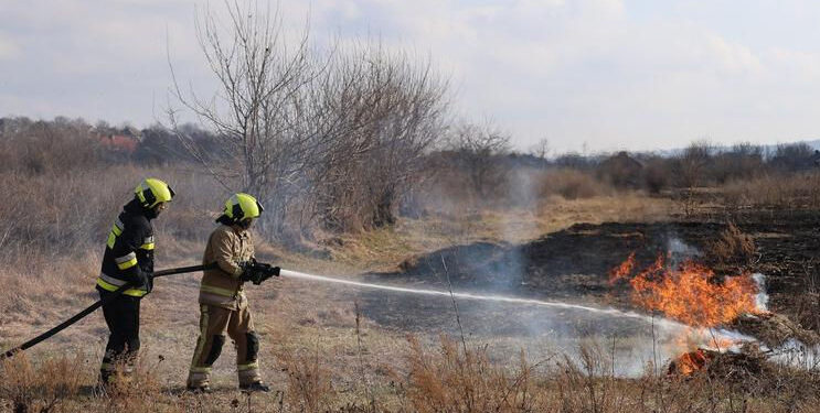 Incendii de vegetație în Republica Moldova: Peste 400 de hectare afectate