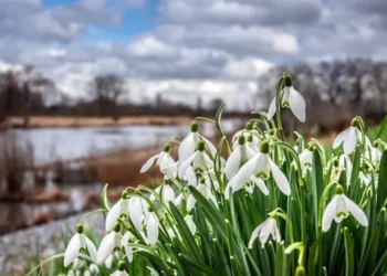 Vreme stabilă, cer noros și temperaturi moderate