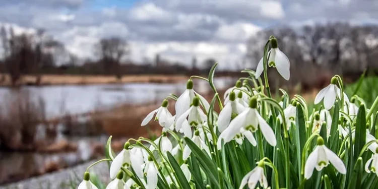 Vreme stabilă, cer noros și temperaturi moderate