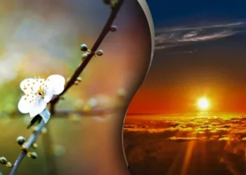 Echinocțiul de primăvară 2025: începutul unui nou ciclu