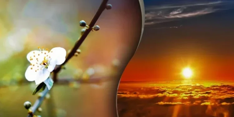 Echinocțiul de primăvară 2025: începutul unui nou ciclu