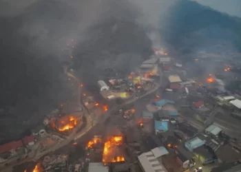 Incendii devastatoare în Coreea de Sud: 18 morți și pagube masive