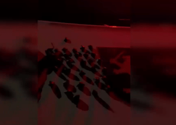 Curier de droguri reținut în Buiucani: 29 de pachețele confiscate