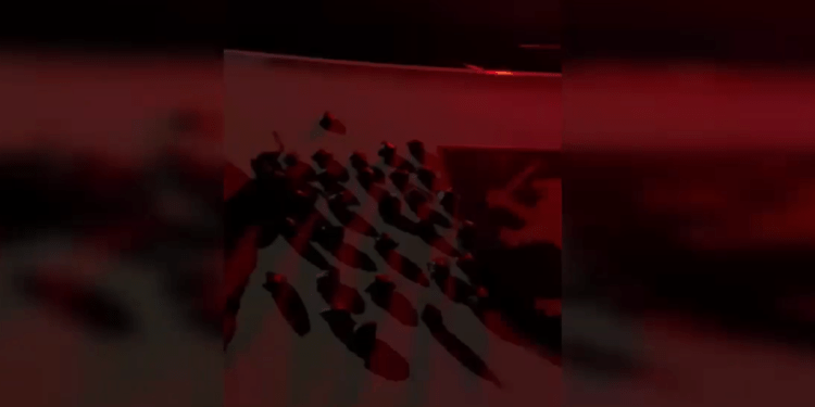 Curier de droguri reținut în Buiucani: 29 de pachețele confiscate