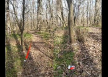 Grup infracțional de trafic de droguri dejucat la Drochia