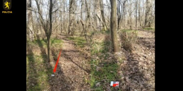 Grup infracțional de trafic de droguri dejucat la Drochia