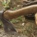 Bărbat condamnat la închisoare cu suspendare după un atac violent la Cernița