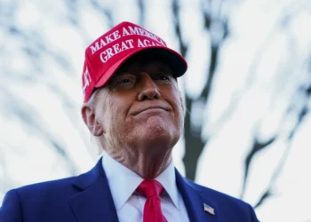 Трамп после ссоры с Зеленским может полностью прекратить поддержку Украины