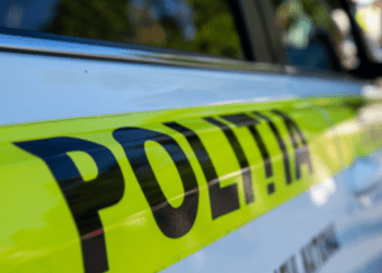 Poliția Națională a transmis un mesaj de apreciere pentru femei de 8 Martie