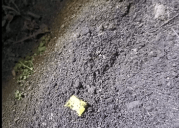 Grupare infracțională de tineri destructurată în Sîngerei pentru trafic ilegal de droguri