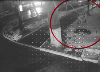 Jaful din capitală: Tineri de 17 și 20 de ani fură bunuri în valoare de 22.500 lei