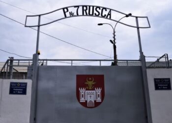 Crimă brutală în Anenii Noi: femeie ucide un bărbat cu un par de lemn