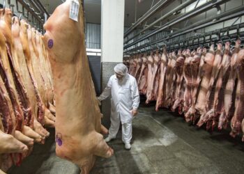 АЧС в Молдове: власти уверяют, что кризиса не будет