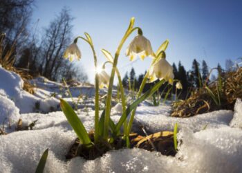 Vreme caldă în perspectivă: Cum va fi vremea în următoarele zile
