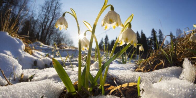 Vreme caldă în perspectivă: Cum va fi vremea în următoarele zile