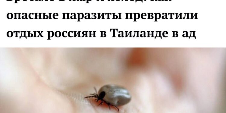 Vacanță transformată în coșmar: turiști ruși, atacați de căpușe în Thailanda