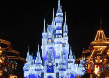 Fost angajat Disney, condamnat la 3 ani de închisoare pentru piratarea meniurilor