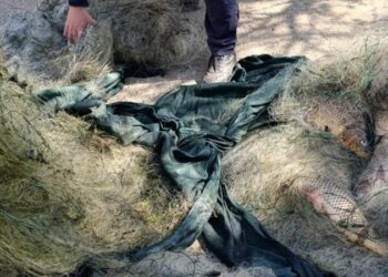 Pescuit ilegal în perioada de prohibiție: Poliția de Frontieră a documentat mai multe cazuri