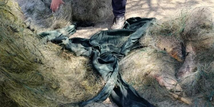 Pescuit ilegal în perioada de prohibiție: Poliția de Frontieră a documentat mai multe cazuri