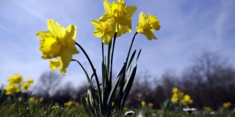 Погода капризничает: днем тепло, ночью холодно. Сколько градусов будет?