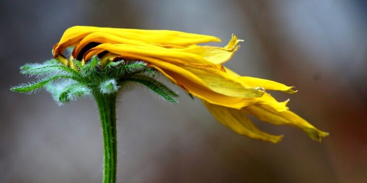 Переменчивая погода и сильный ветер: что обещают синоптики?