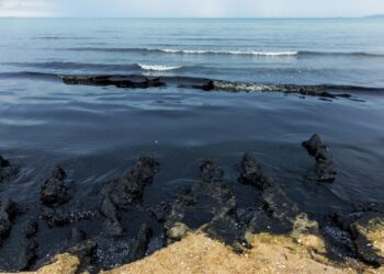 В ОАЭ на территории нескольких отелей произошел разлив нефти