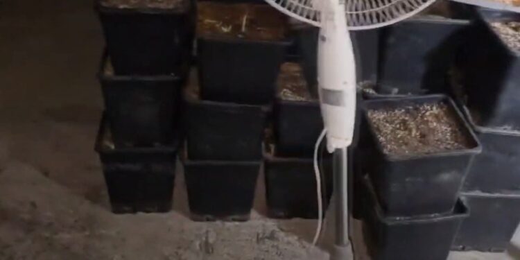 В Яловенах обнаружена лаборатория по производству наркотиков. Под подозрением пять человек