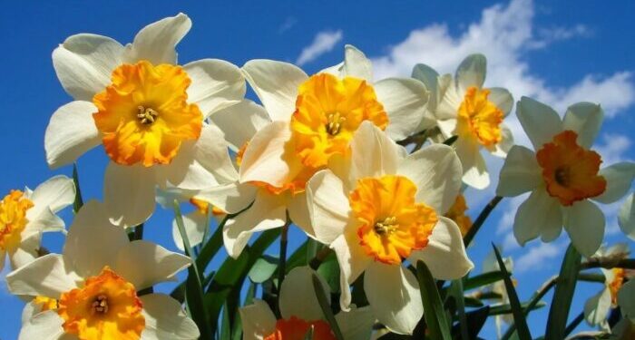 Переменная облачность и без осадков. Какой будет погода 17 апреля