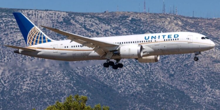 В США самолету пришлось вернуться во время полета из-за кролика, который непонятным образом залез в двигатель