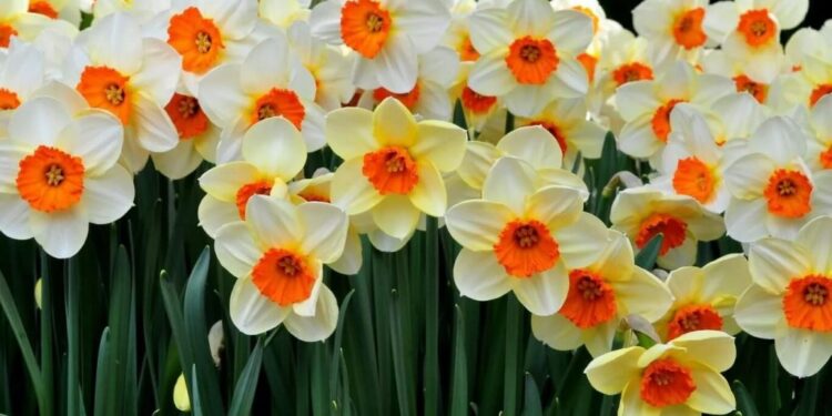 День с переменной облачностью и весенним теплом