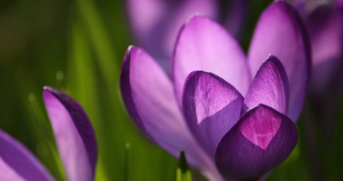 Синоптики рассказали, какой будет погода 21 апреля