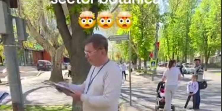 В Кишиневе оштрафовали пенсионера, пытавшегося заработать на продаже зелени и цветов