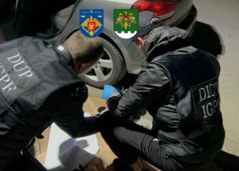 Житель Штефан-Водэ арестован за перевозку наркотиков на 1 млн леев