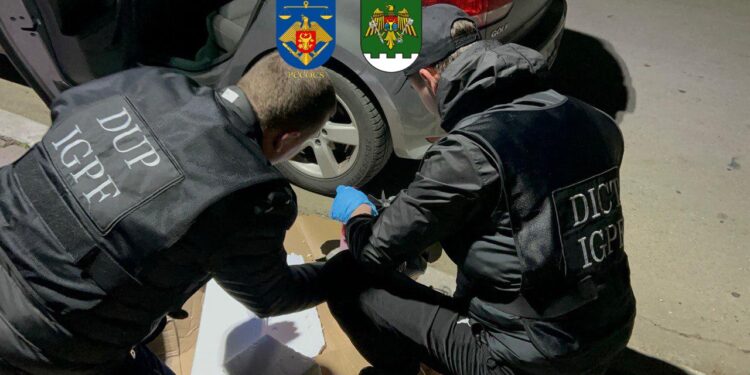 Житель Штефан-Водэ арестован за перевозку наркотиков на 1 млн леев