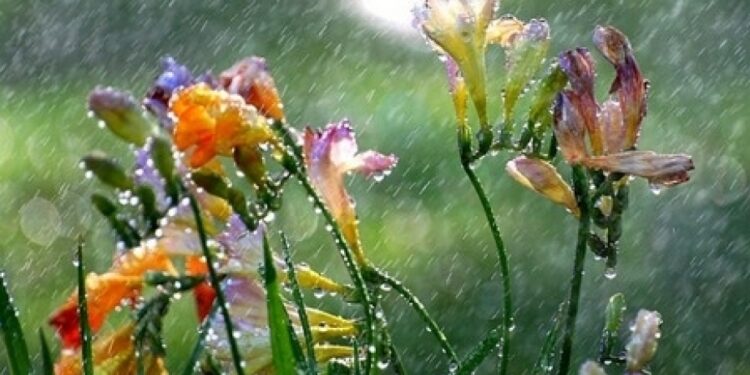 Слабые дожди по всей территории Молдовы. Какая погода ожидается?