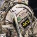 ФСБ пресекла деятельность экс-сотрудника молдавской службы безопасности в России