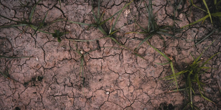 На большей части планеты зафиксирован рост резких перепадов температур