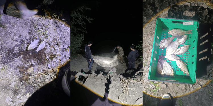 Семь человек были оштрафованы за незаконную рыбалку в районе Штефан-Водэ