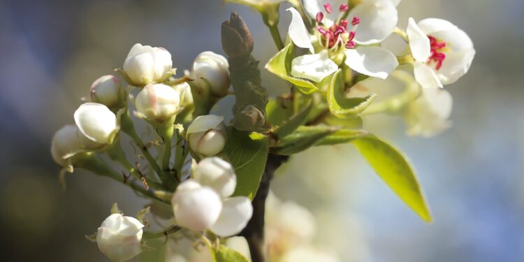 Синоптики рассказали, какой будет погода 24 апреля