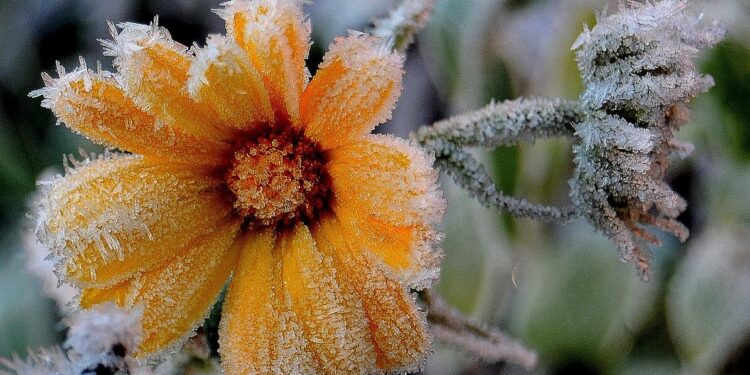 Холодный фронт к Радонице: температура снизится до 10 градусов, возможны заморозки