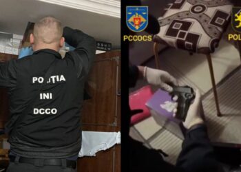 На юге Молдовы обнаружили плантацию марихуаны