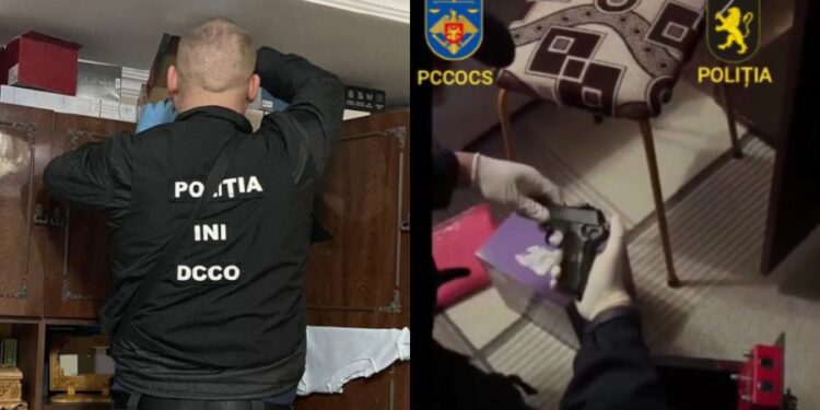 На юге Молдовы обнаружили плантацию марихуаны