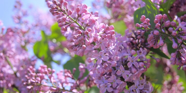 Стабильная погода и яркое солнце: что нас ждет сегодня