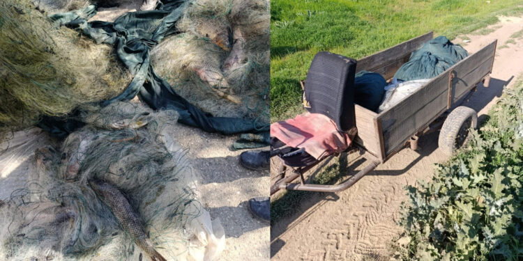 Незаконная рыбалка в период запрета на озере Манта и другие случаи браконьерства в Молдове