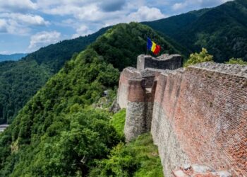 Крепость в Румынии временно закрыли после того, как медведь проник в туристическую зону