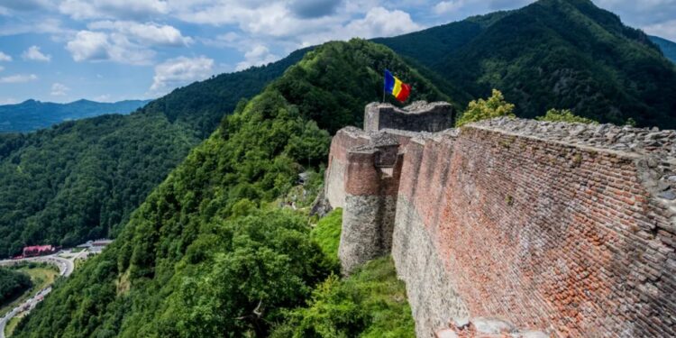 Крепость в Румынии временно закрыли после того, как медведь проник в туристическую зону