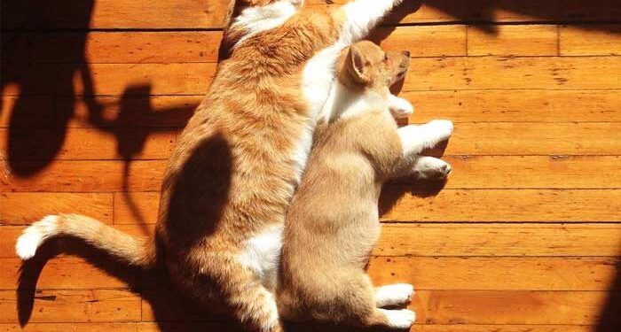 Синоптики рассказали, какой будет погода 30 апреля